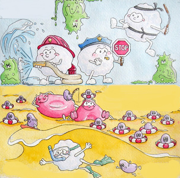 The purpose of white blood cells to fight off germs and plasma holding 